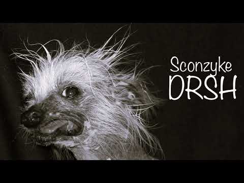 Sconzyke - DRSH (Minovuz Diss) (prod. by Jordan Beats)