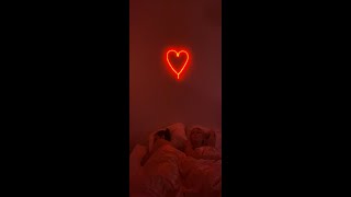 Bara en gång till Music Video