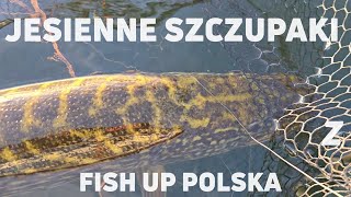 video placeholder - Jesienne szczupaki z Fish Up Polska