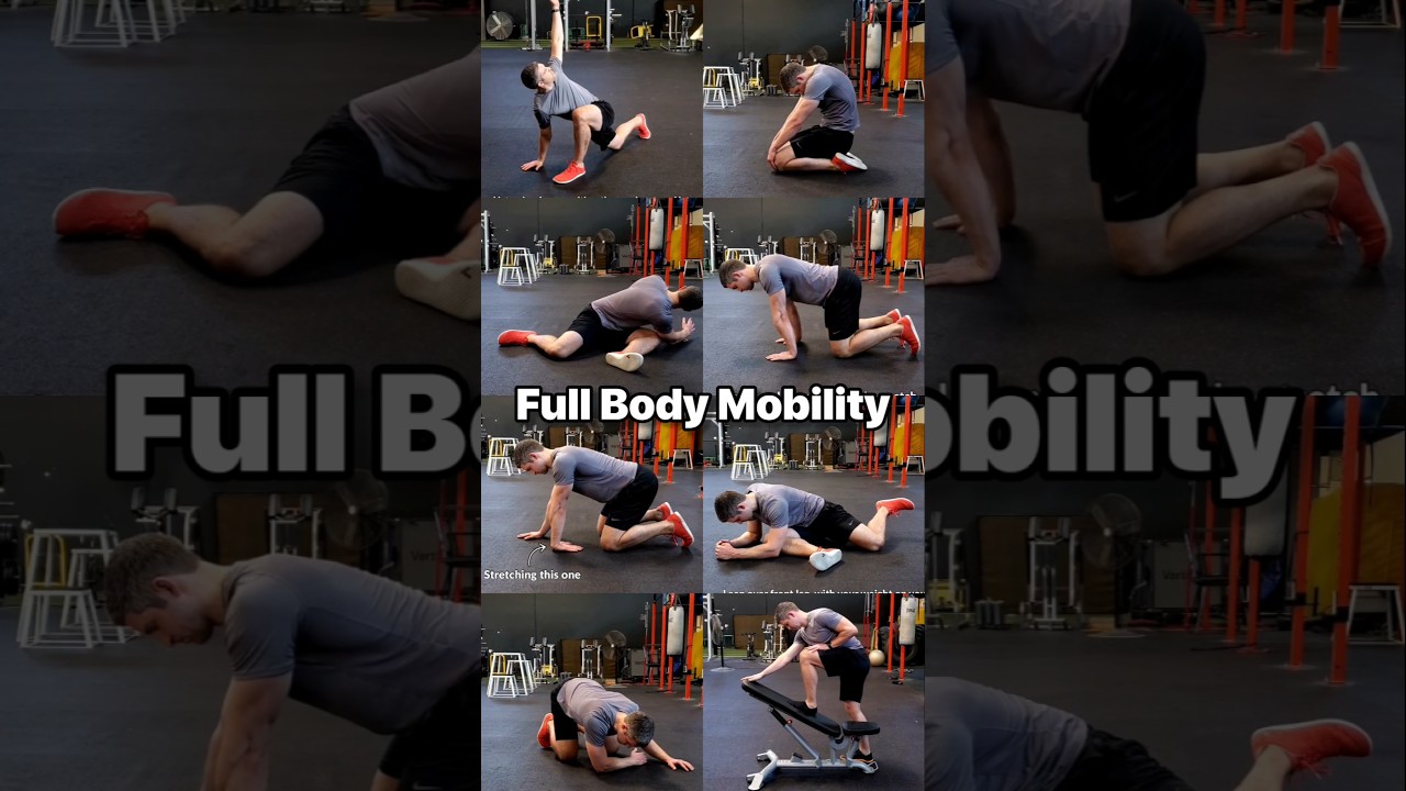 How to Improve Full Body Mobility