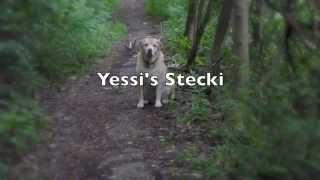 preview picture of video 'Yessi's Stecki'