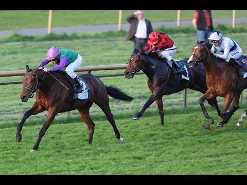 Bremen: Prix Atlantic Hotel (D) - Sieger: Fair Trade