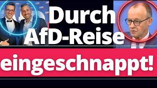 Eilmeldung: Patziger Merz neidisch auf AfD und eskaliert gegen Trump!