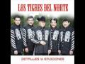 la manzanita los tigres del norte