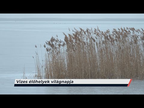 Híradó – 2026.02.02. – Hétfő