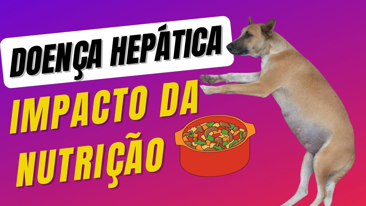 Nutrição na Doença Hepática dos Cães: [2 Minerais] Fundamentais