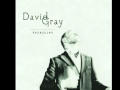 we could fall in love again tonight - david gray