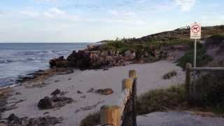 preview picture of video 'Perlemoen - 2013/11/03 Mindarie Western Australia'