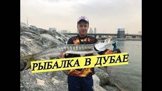 Рыбалка в эмиратах с берега