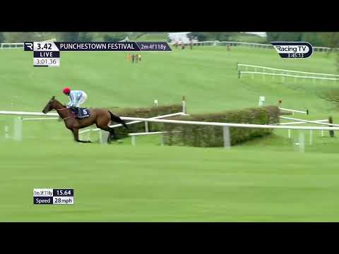 2024 Irish Stallion Farms EBF Champion Mares