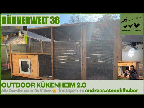 Hühnerwelt 36 Outdoor Kükenheim 2.0 - Alle Details und süße Küken