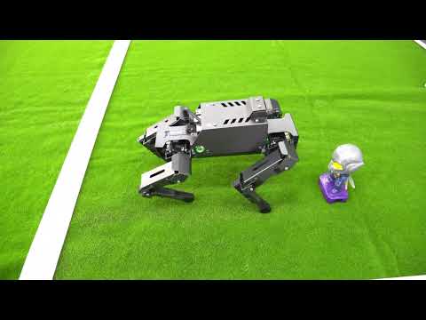 12DOF Robot Dog DOGZILLA S1/S2 for Raspberry Pi 4B(Ubuntu 20.04+ROS2)
