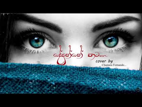 Dedunne Pata Patin | Cover Song | Chamara Fernando | Ru Music Hub