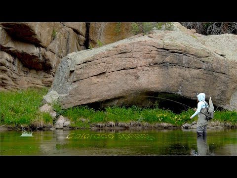 11 Miles of Dream Stream - amazingly BEAUTIFUL river - McFly Angler Episode 53