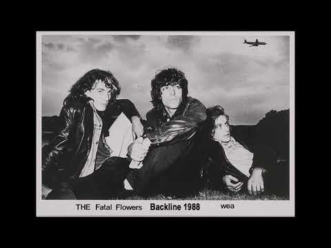 FATAL FLOWERS - BACKLINE 18-5-1988