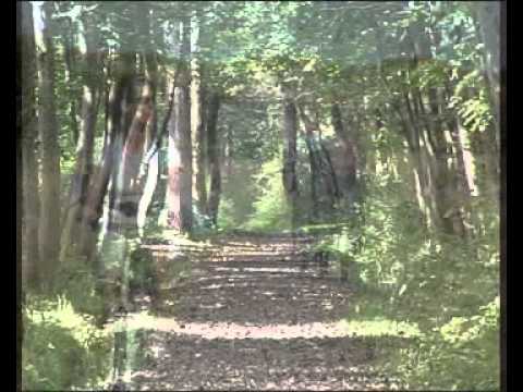 Naturlandschaft Langeoog