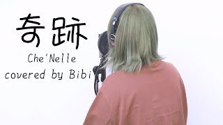 『 奇跡  / Che&#39;Nelle (シェネル) 』covered by Bibi