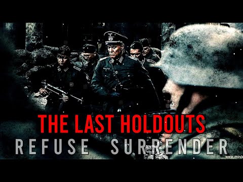 What Happened to the Germans Who Refused Surrender: Battle Of Stalingrad 