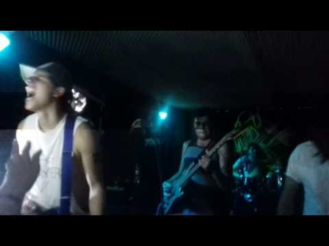 Los CHOTGUN y los gallos - El gallo caníbal