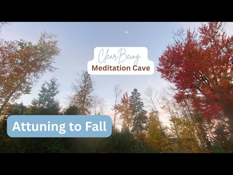 Attuning to Fall | Guided Meditation for Autumn Equinox, Grounding & Mindful Reflection