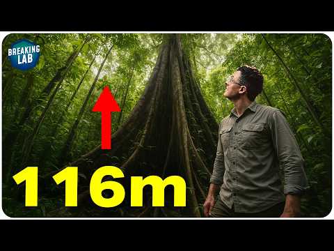Video Thumbnail: Die größte Pflanze der Welt - Expedition Peru