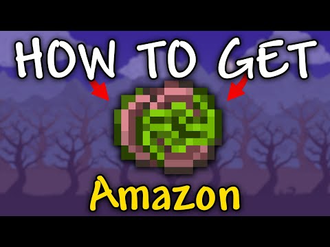 Amazon Terraria
