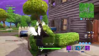 ハチャメチャ波乱のフォートナイト