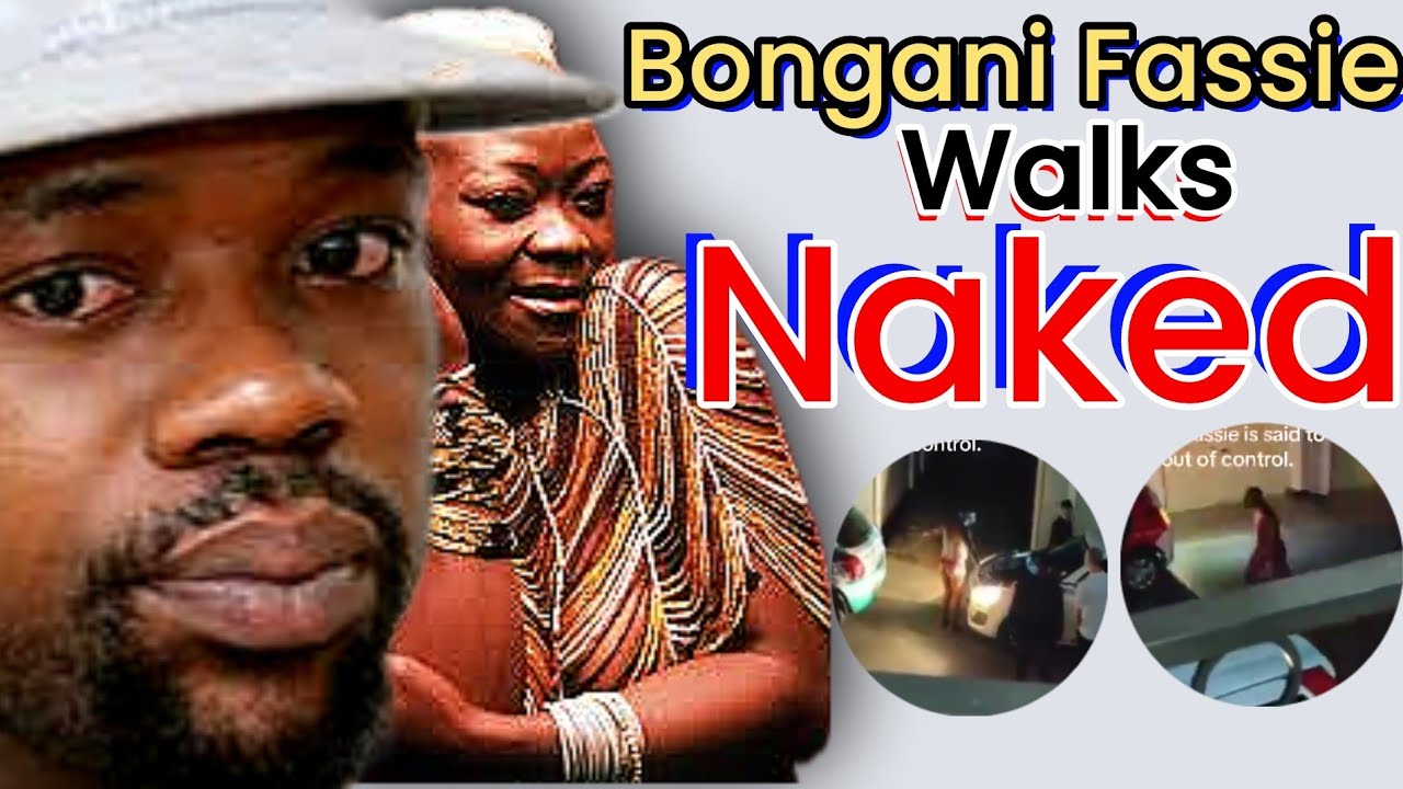 YouTube Thumbnail Downloader FULL HQ IMAGE