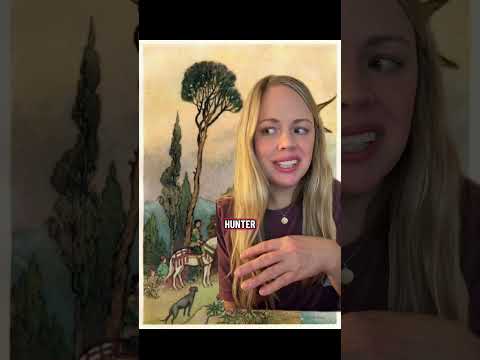 Il palazzo incantato