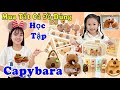 Mua Tất Cả Đồ Dùng Học Tập Capybara Back To School