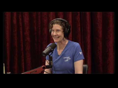 @joerogan - "Joe Rogan Experience #2496 - Julia Mossbridge"