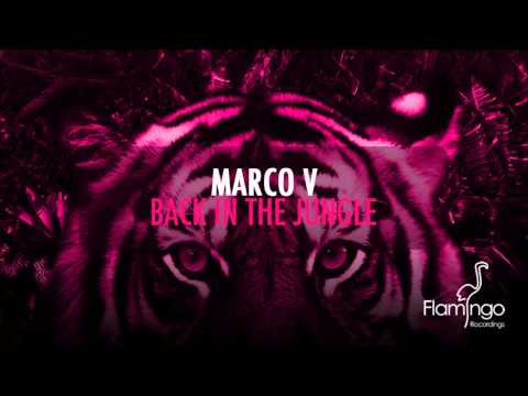 Marco V - Back In The Jungle [Flamingo Recordings]