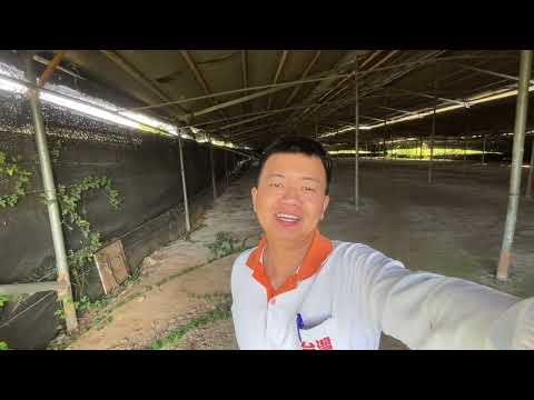 新社區-大南段農地出售 第1張共5張
