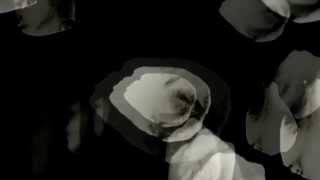 First Love Song (live): Tim Hardin