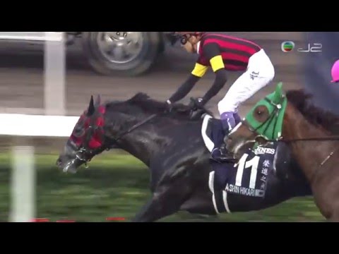 2015 香港盃 HONG KONG CUP 香港カップ (G1) 榮進之光 A SHIN HIKARI エイシンヒカリ 武豊