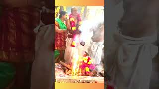 Sri Chandi Homam - Vasordhara - MahaAshtami