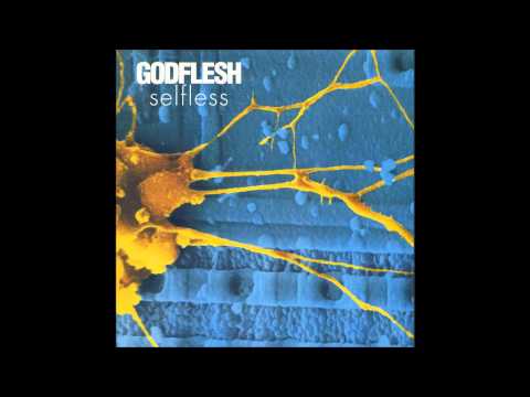 Godflesh - Go Spread Your Wings