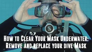 Mask clear: How to Clear Your Mask Underwater: Remove and Replace your Dive Mask