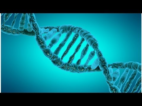 ▼Les pandoravirus, des virus géants qui inventent leurs propres gènes