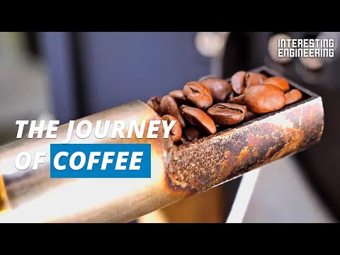 This is how your coffee made it to your table