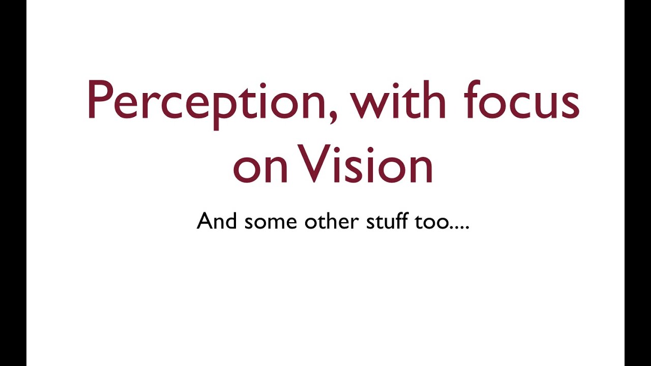 Introduction to Cognitive Science for Undergraduates, Lecture 11