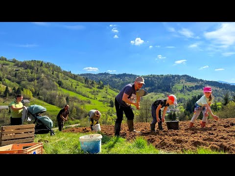 Rural Life in the Carpathians — From Sunrise Cooking to Planting Potatoes with the Whole Family