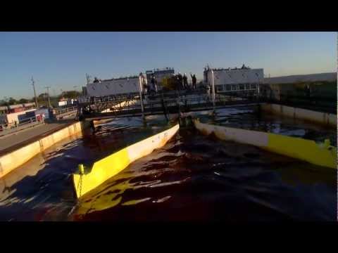 Team Koseq--Wendy Schmidt Oil Cleanup X CHALLENGE