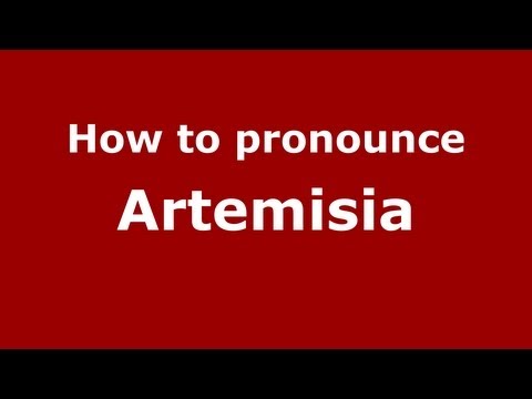 How to pronounce Artemisia