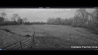 Cariani Farms - Pasture View