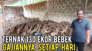 Download lagu Bisa Dicoba, Ternak Bebek Petelur 130 Ekor Gajiannya Tiap Hari mp3 Download lagu Bisa Dicoba, Ternak Bebek Petelur 130 Ekor Gajiannya Tiap Hari mp3