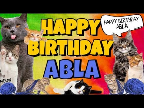Happy Birthday Abla! Crazy Cats Say Happy Birthday Abla (Very Funny)