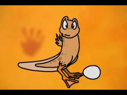 Zoboomafoo: World of Legs