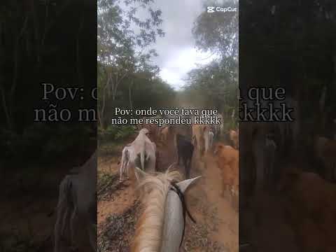 Acesso no campo: Infraestrutura falha dificulta a vida rural.