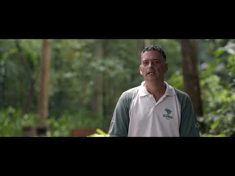 Reserva Biológica Marinha do Arvoredo